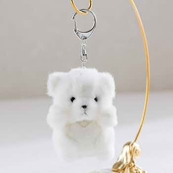 61b8-R+XzZL._AC_UF350,